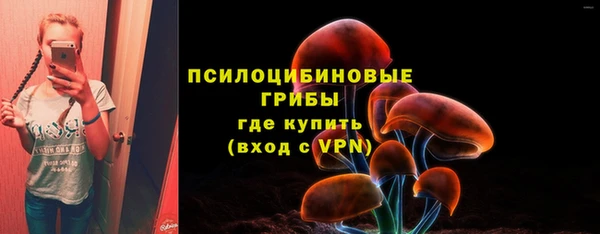 сатива Володарск