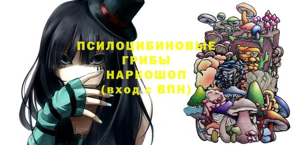 сатива Володарск