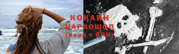 сатива Володарск