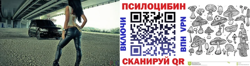 Купить  Рыбное  Псилоцибиновые грибы Psilocybine cubensis 